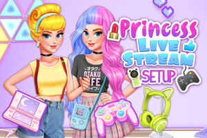 Princess Live Stream Setup